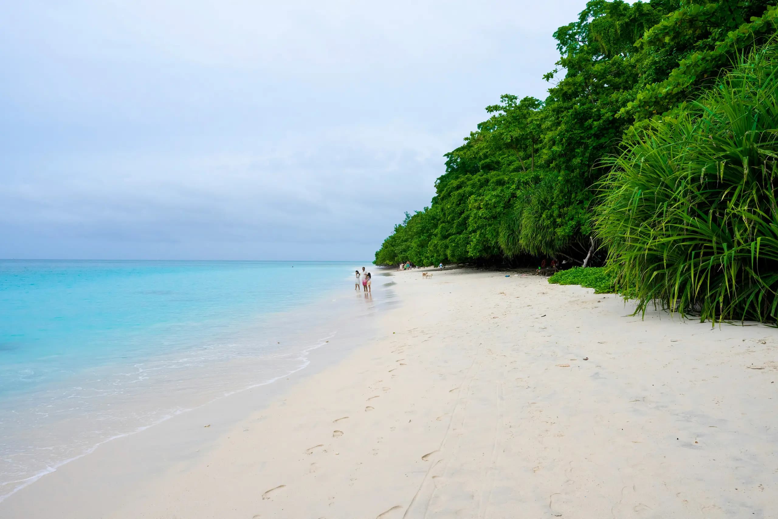Chidiya Tapu sunset coast