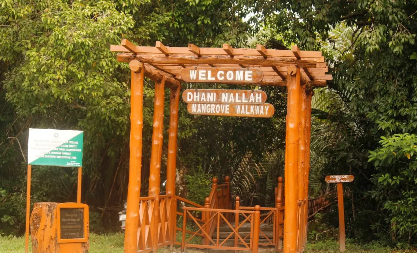 Dhani Nallah boardwalk