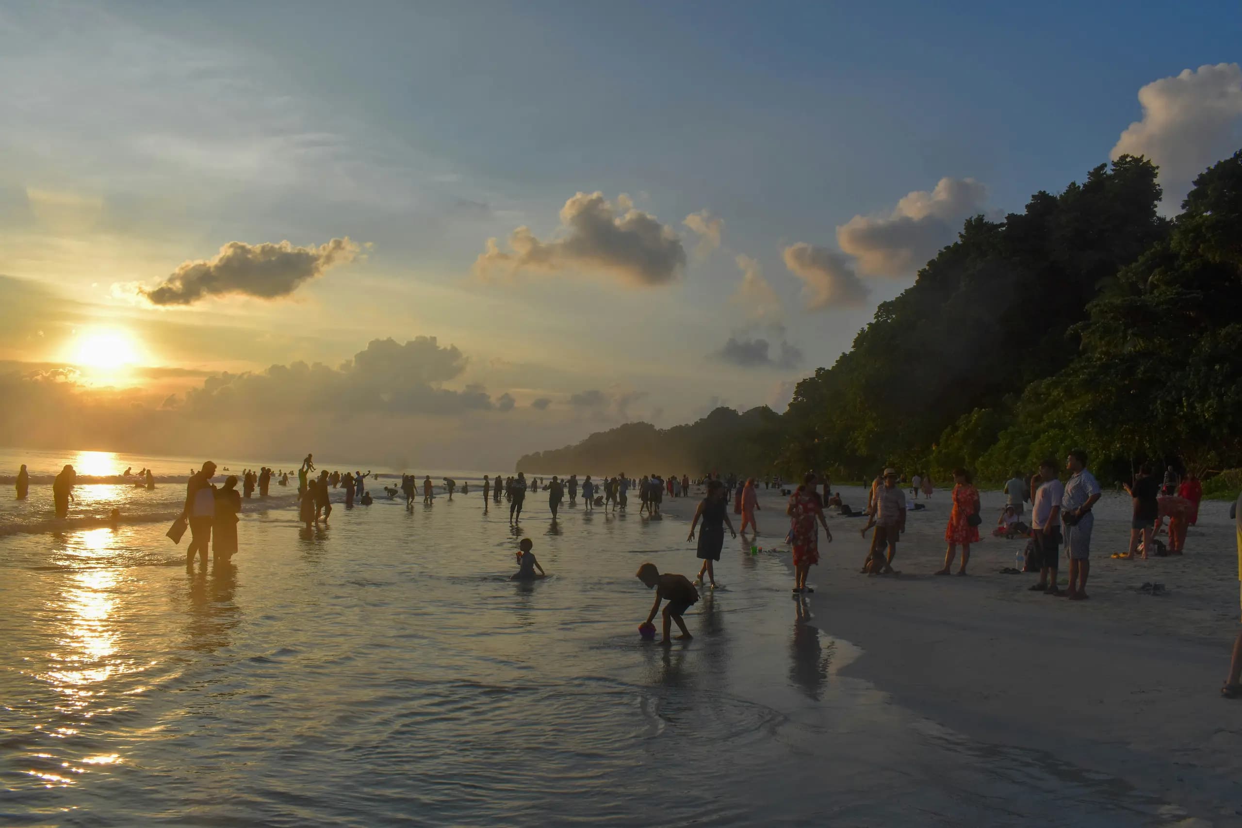 Havelock beach landscape